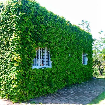 Sitio Sapiranga 아파트 외부 사진