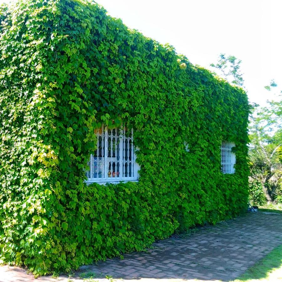 Sitio Sapiranga 아파트 외부 사진