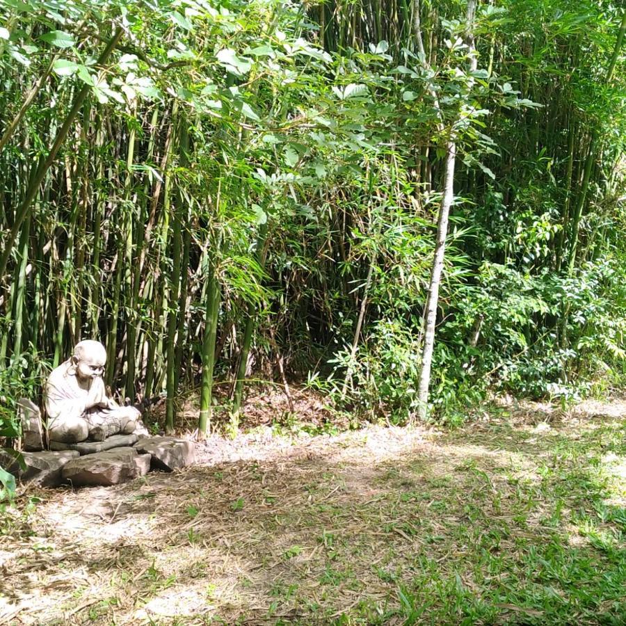 Sitio Sapiranga 아파트 외부 사진