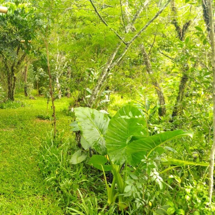 Sitio Sapiranga 아파트 외부 사진