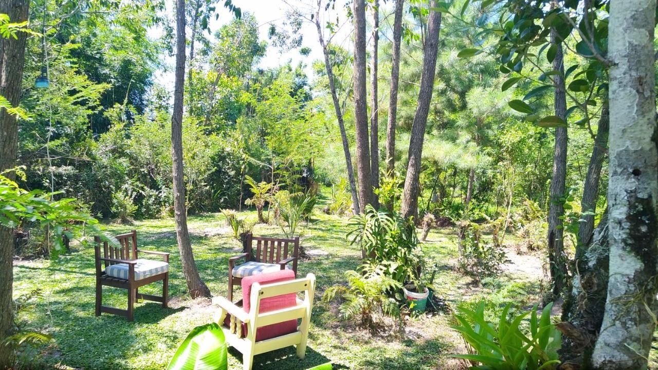 Sitio Sapiranga 아파트 외부 사진